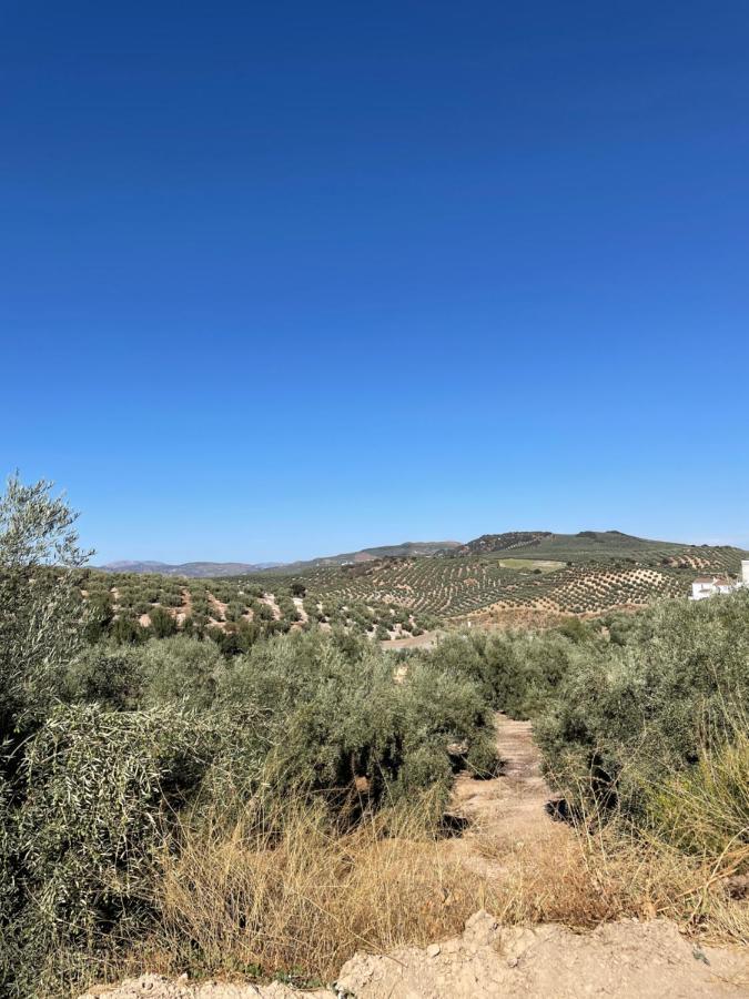 Villa Lafrenchtouch - Relajate Y Desconecta Al Pueblo Villanueva de Tapia Esterno foto